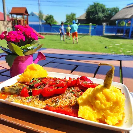 Pensiunea Cuplu Calator Gasthof Jurilovca