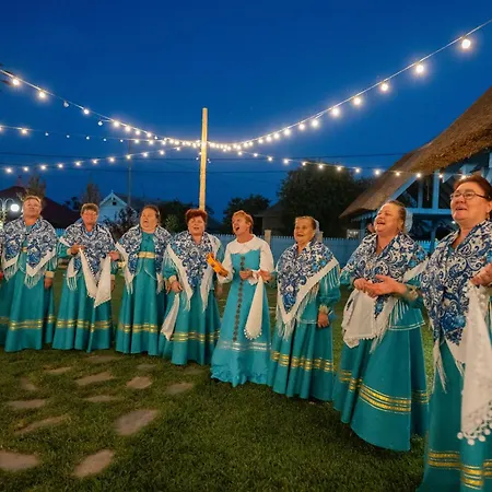 Pensiunea Cuplu Calator Gasthof