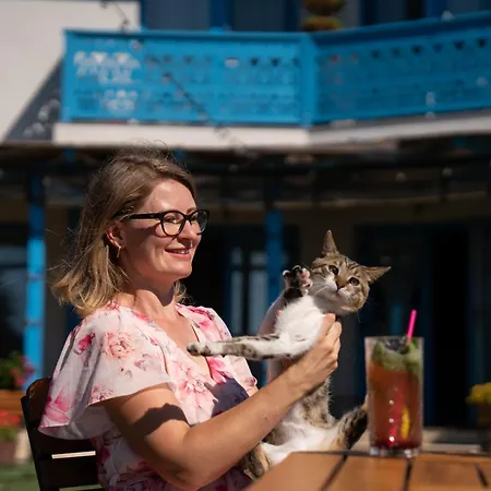 Pensiunea Cuplu Calator 4* Журиловка