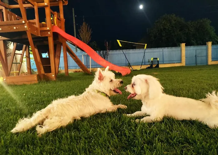 Pensiunea Cuplu Calator Vendégház