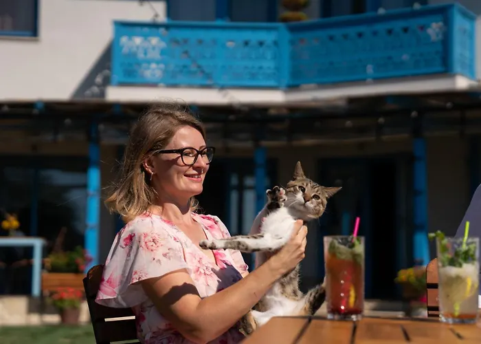 Pensiunea Cuplu Calator 4* Jurilovca